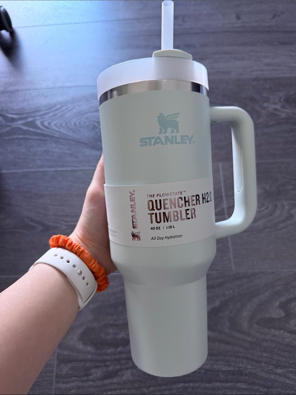 Stanley Mint Green Quencher H2.0 Tumbler with Straw and Handle